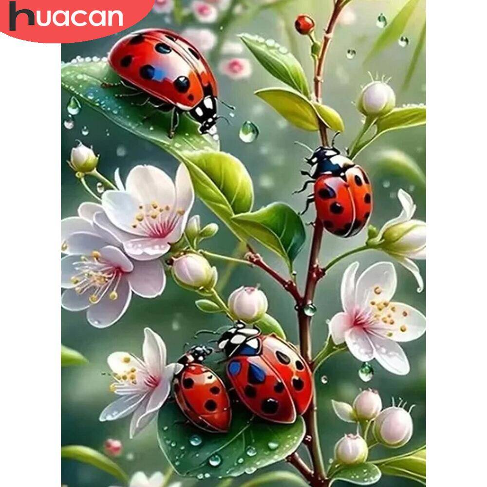 HUACAN 5d Diamond Painting Lad - Embroidery Lady Bug ulasan dan harga