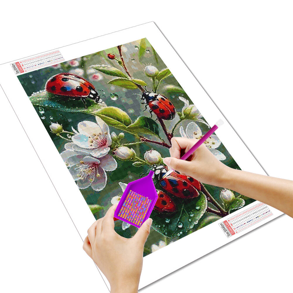 HUACAN 5d Diamond Painting Lad - Embroidery Lady Bug ulasan dan harga
